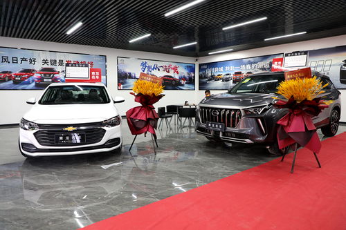 忻城汽車新地標！青龍車行元旦盛大開業，打造一站式汽車銷售綜合體